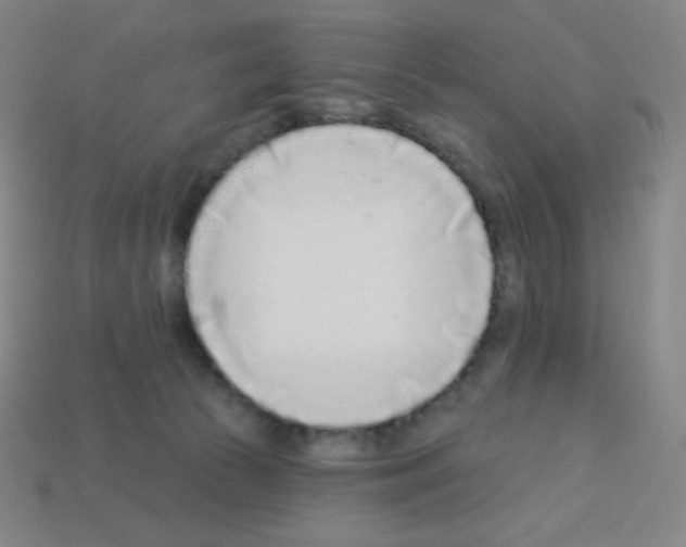 X0000113100177200910091147