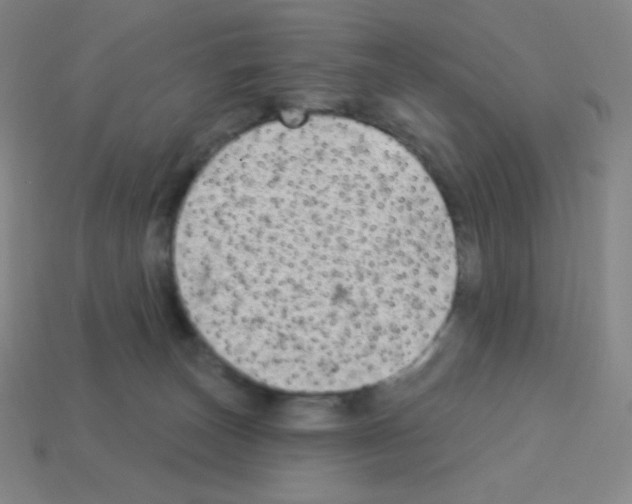 X0000113100179200910091147