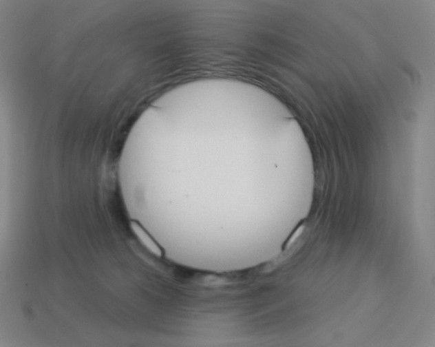 X0000113100180200910091147