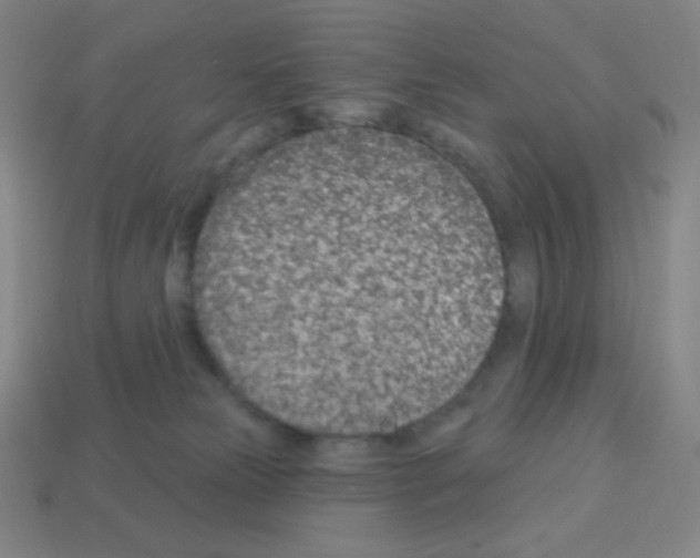 X0000113100181200910091147