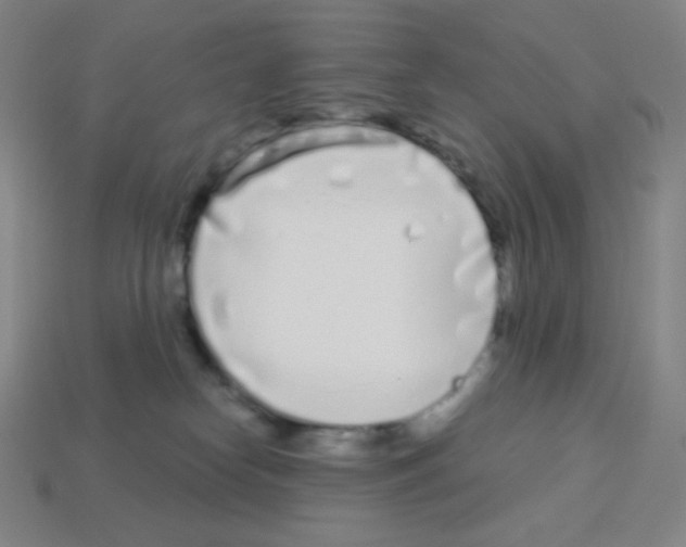 X0000113100182200910091147