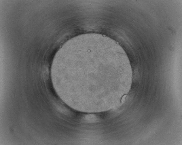 X0000113100183200910091147