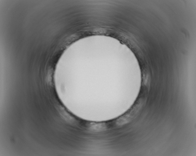 X0000113100185200910091147