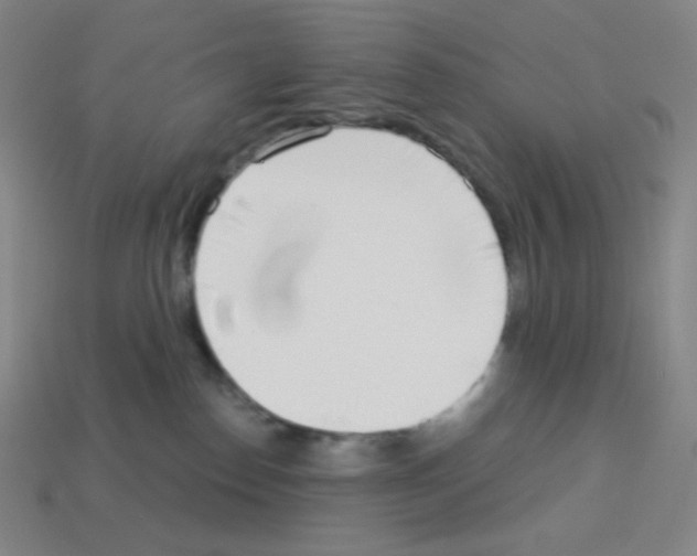 X0000113100186200910091147