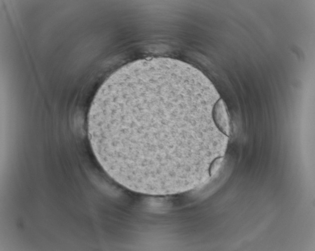 X0000113100187200910091147
