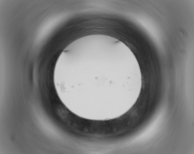 X0000113100190200910091147