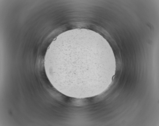 X0000113100191200910091147