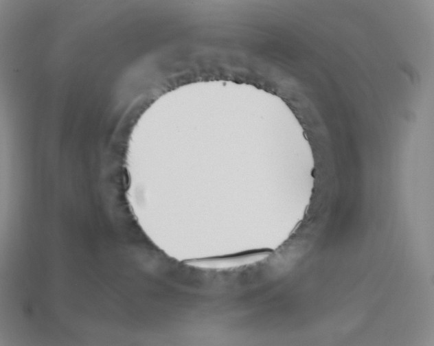 X0000113100192200910091147