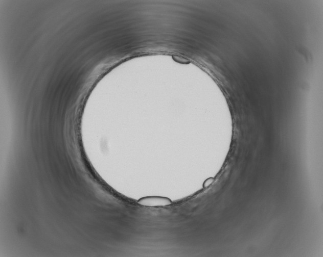 X0000113100193200910091146