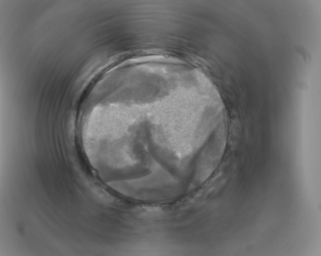 X0000113100194200910091146