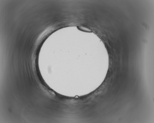 X0000113100197200910091146