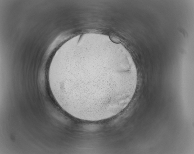 X0000113100198200910091146