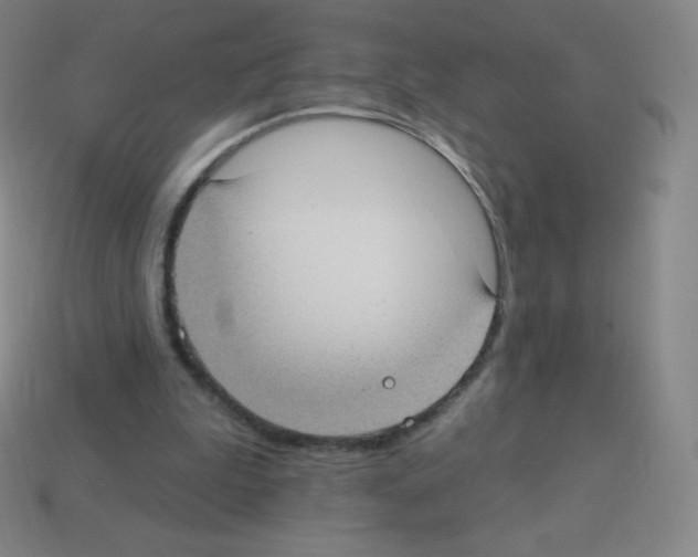X0000113100199200910091146