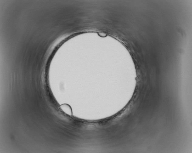X0000113100200200910091146