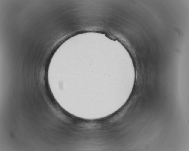 X0000113100201200910091146