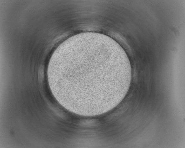 X0000113100202200910091146