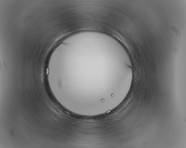 X0000113100203200910091146