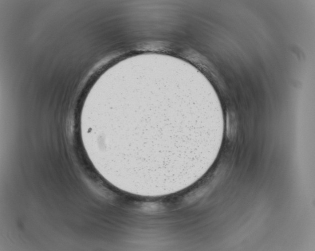 X0000113100204200910091146