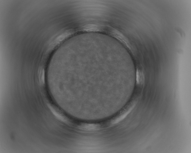 X0000113100205200910091146