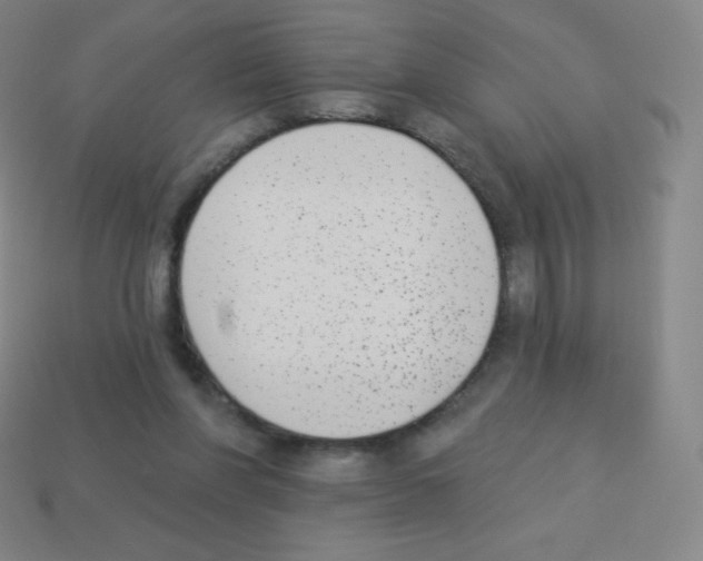 X0000113100206200910091146