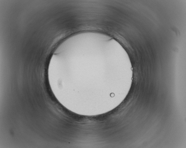 X0000113100207200910091146