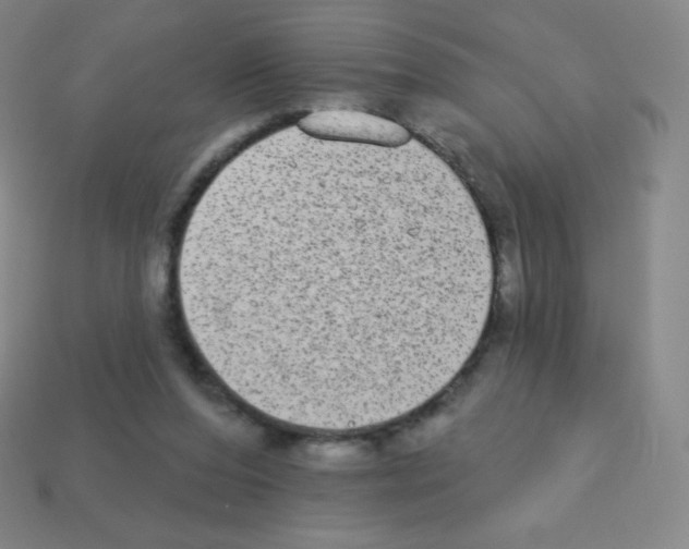 X0000113100208200910091146