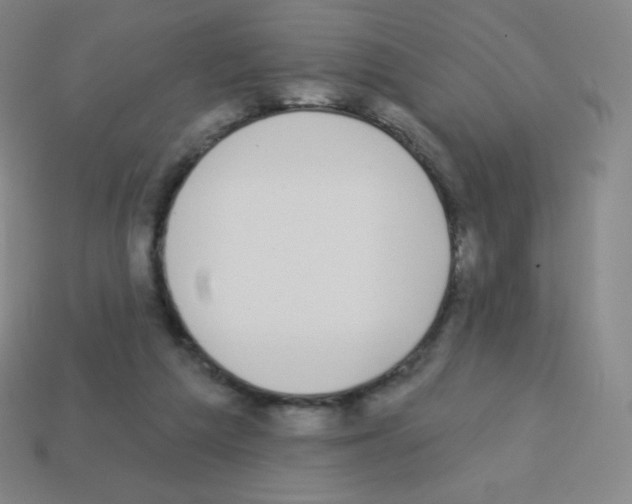 X0000113100209200910091146