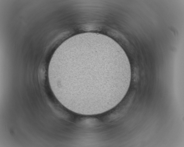 X0000113100210200910091146