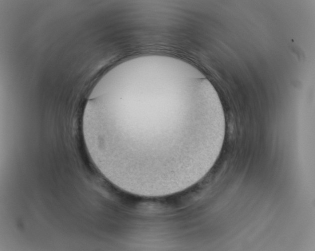 X0000113100211200910091146