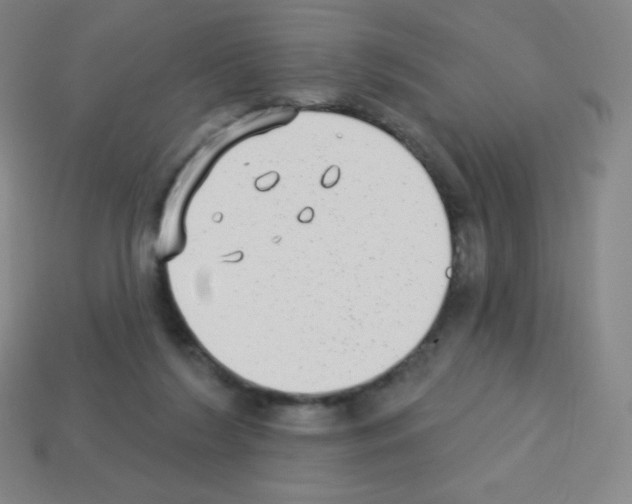X0000113100212200910091146