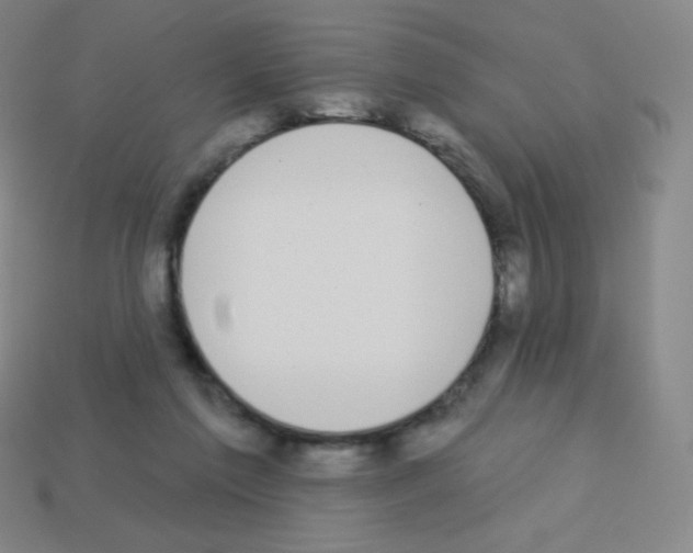 X0000113100213200910091146