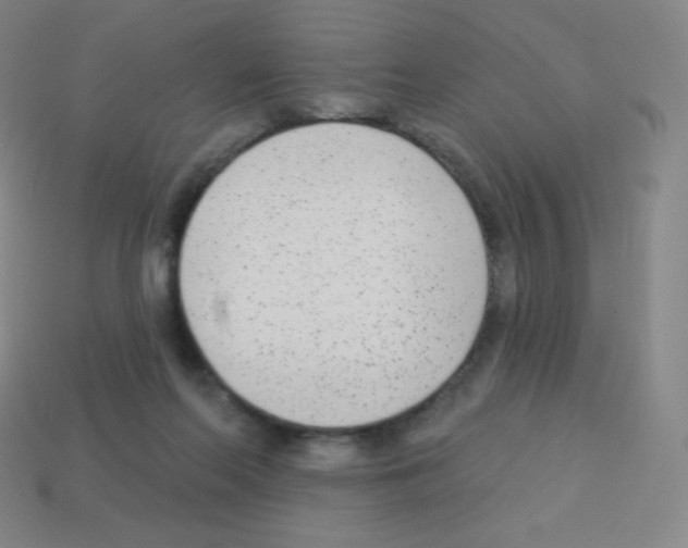 X0000113100214200910091146