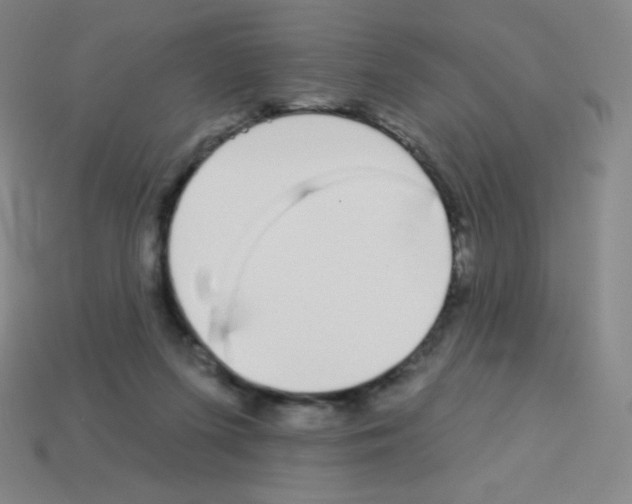 X0000113100215200910091146