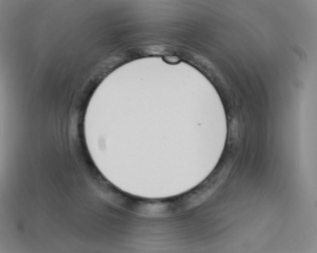 X0000113100217200910091146