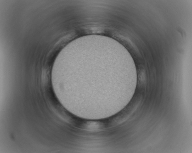 X0000113100218200910091146
