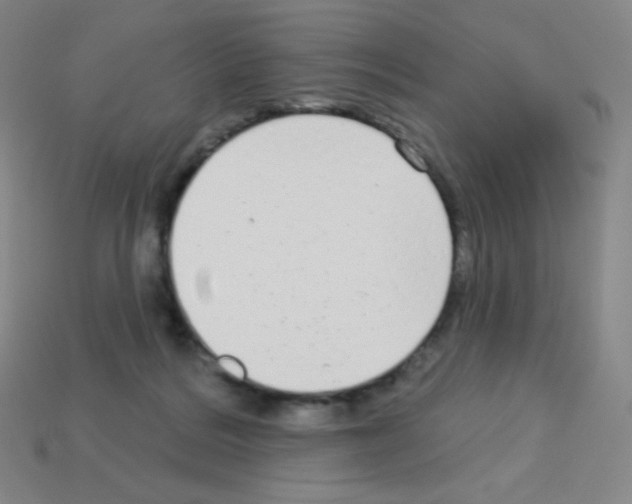 X0000113100220200910091146
