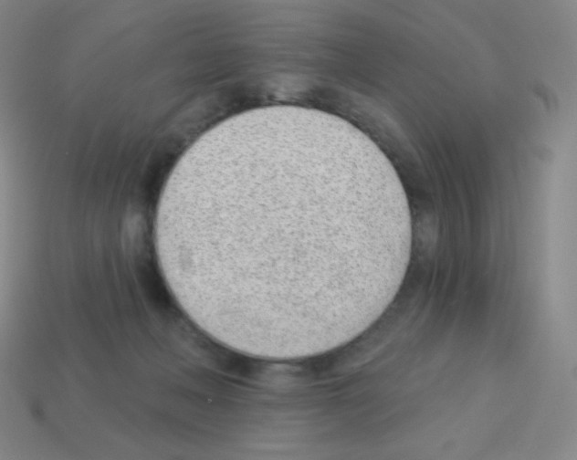 X0000113100222200910091146