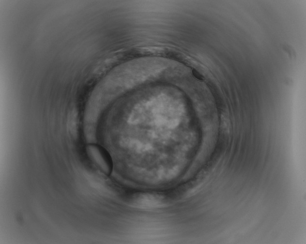 X0000113100223200910091146