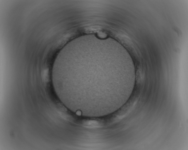 X0000113100224200910091146