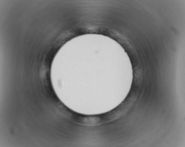 X0000113100225200910091146