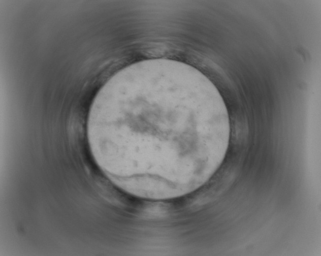 X0000113100226200910091146