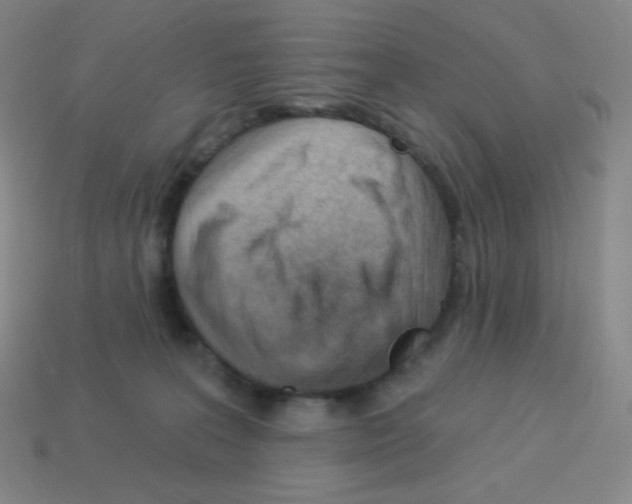X0000113100227200910091146