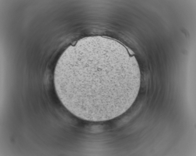 X0000113100228200910091145