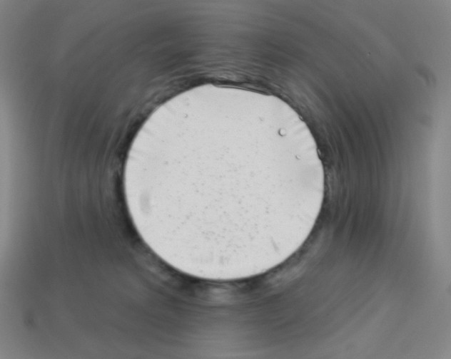 X0000113100229200910091145