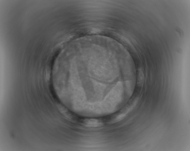 X0000113100230200910091145