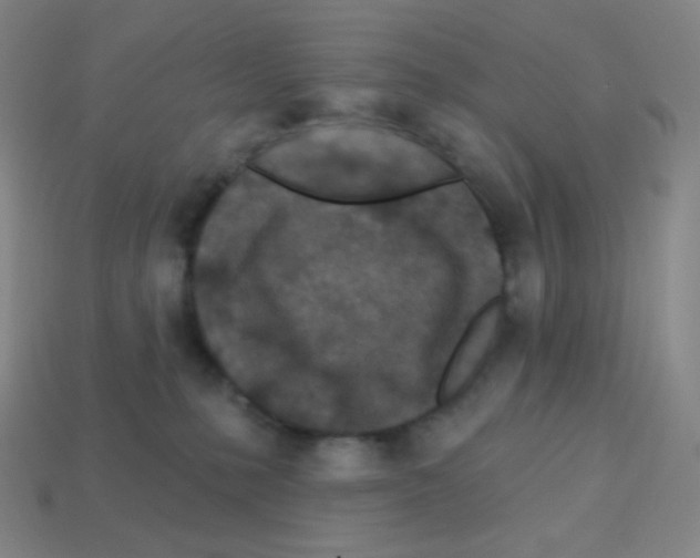 X0000113100231200910091145