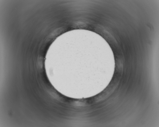 X0000113100232200910091145