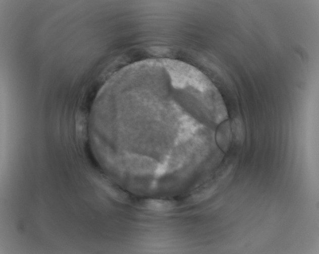 X0000113100234200910091145