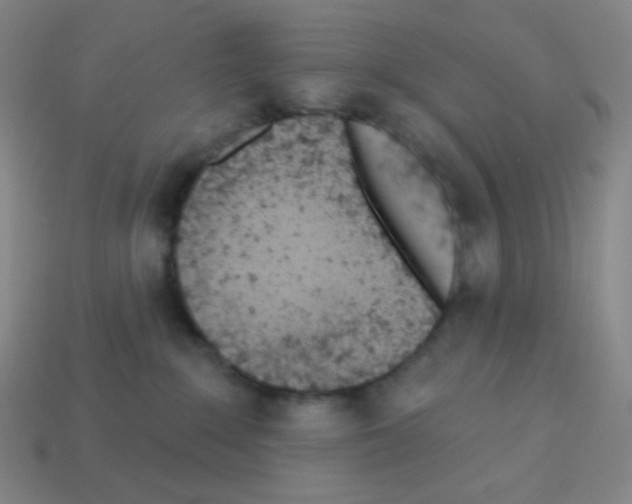 X0000113100235200910091145