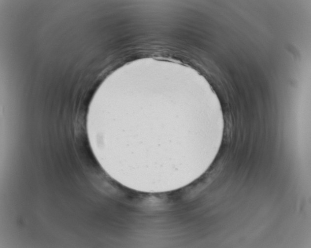 X0000113100236200910091145